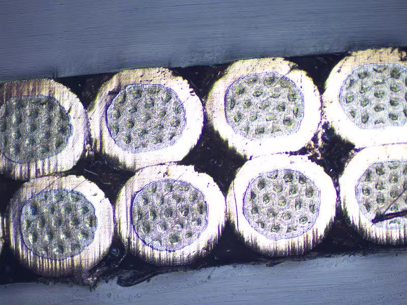 贝博betball体育app下载