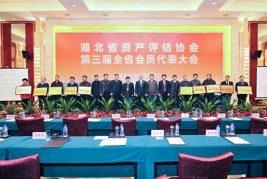 贝博betball体育app下载