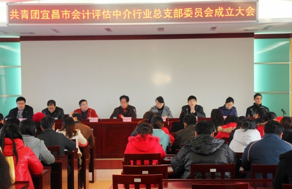 贝博betball体育app下载