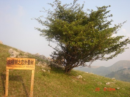 贝博betball体育app下载