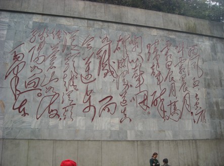 贝博betball体育app下载