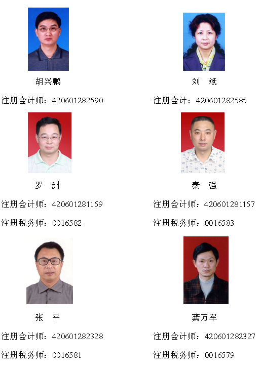 贝博betball体育app下载