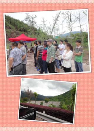 贝博betball体育app下载