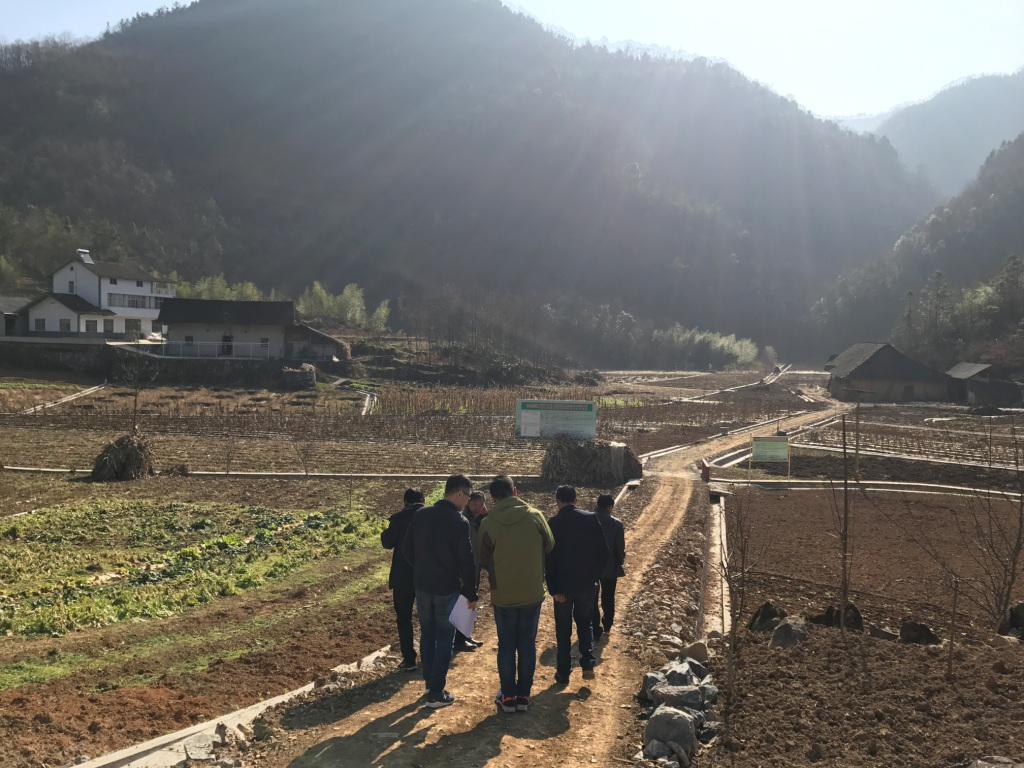 贝博betball体育app下载