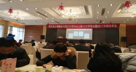 贝博betball体育app下载