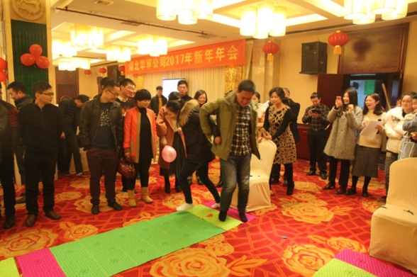 贝博betball体育app下载