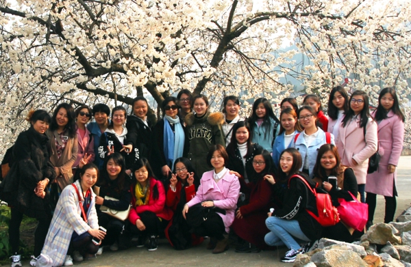 贝博betball体育app下载