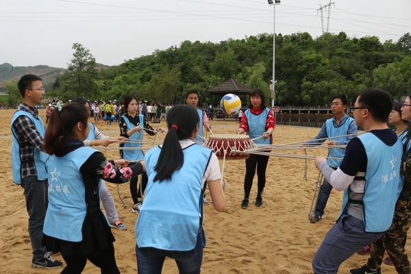 贝博betball体育app下载