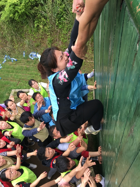 贝博betball体育app下载