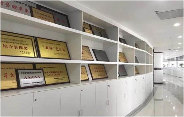 贝博betball体育app下载