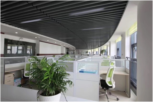 贝博betball体育app下载