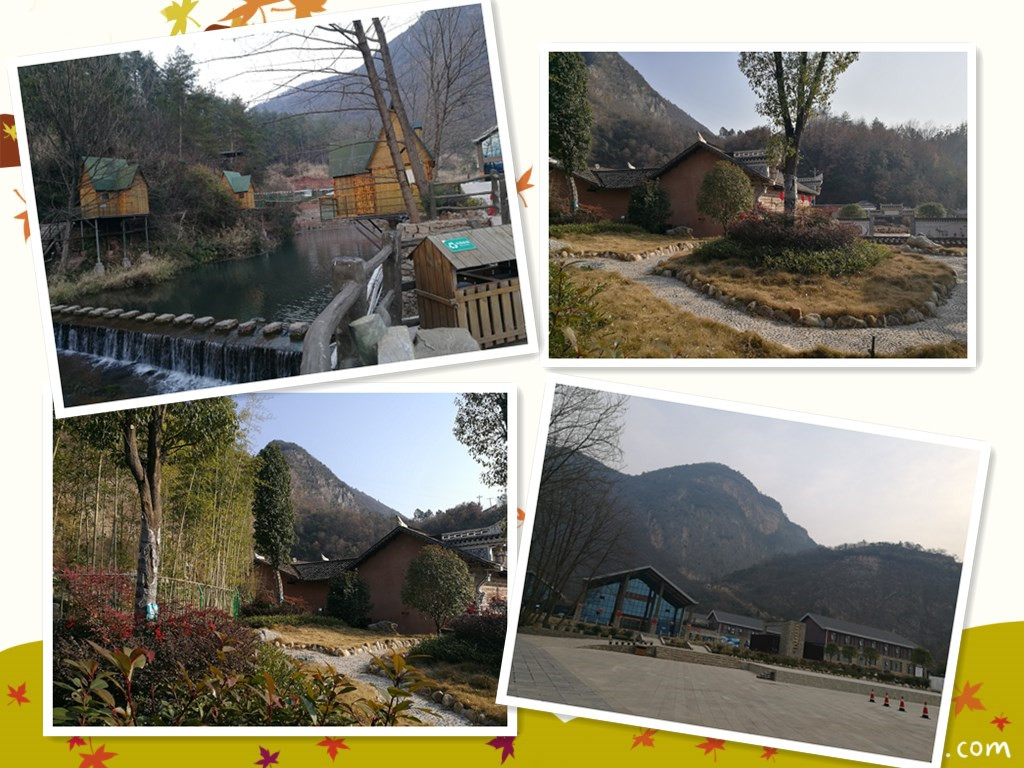 贝博betball体育app下载