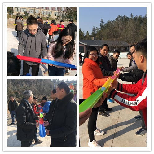 贝博betball体育app下载