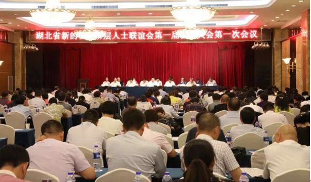 贝博betball体育app下载