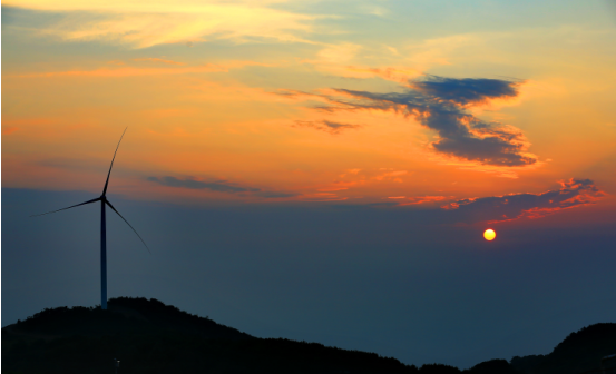 贝博betball体育app下载