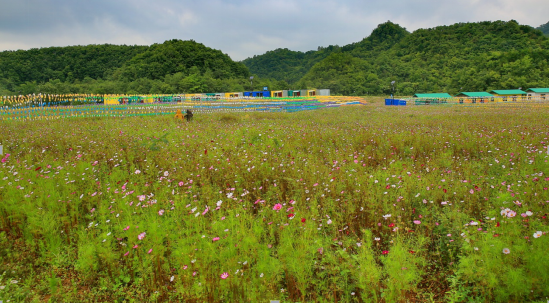 贝博betball体育app下载