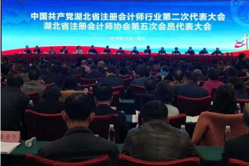 贝博betball体育app下载