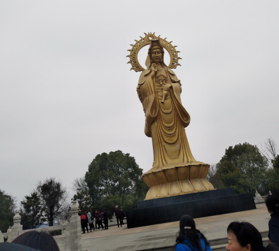 贝博betball体育app下载