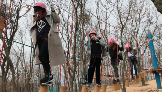 贝博betball体育app下载