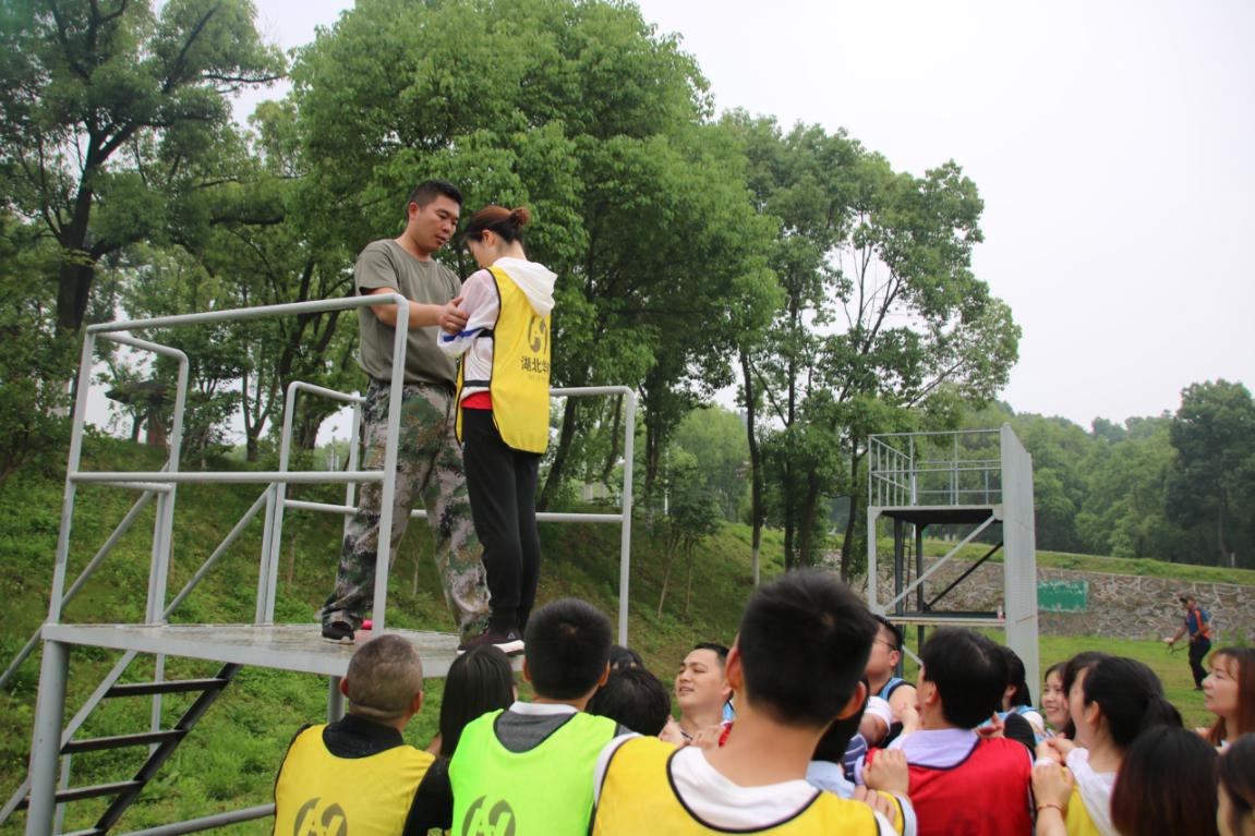 贝博betball体育app下载