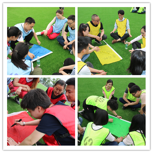 贝博betball体育app下载