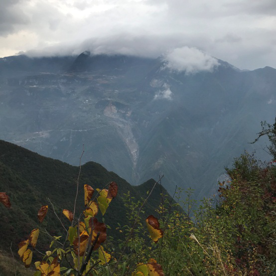 贝博betball体育app下载