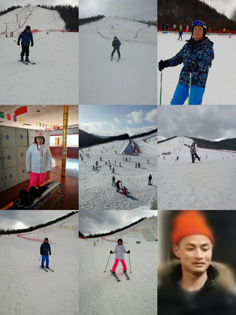 贝博betball体育app下载