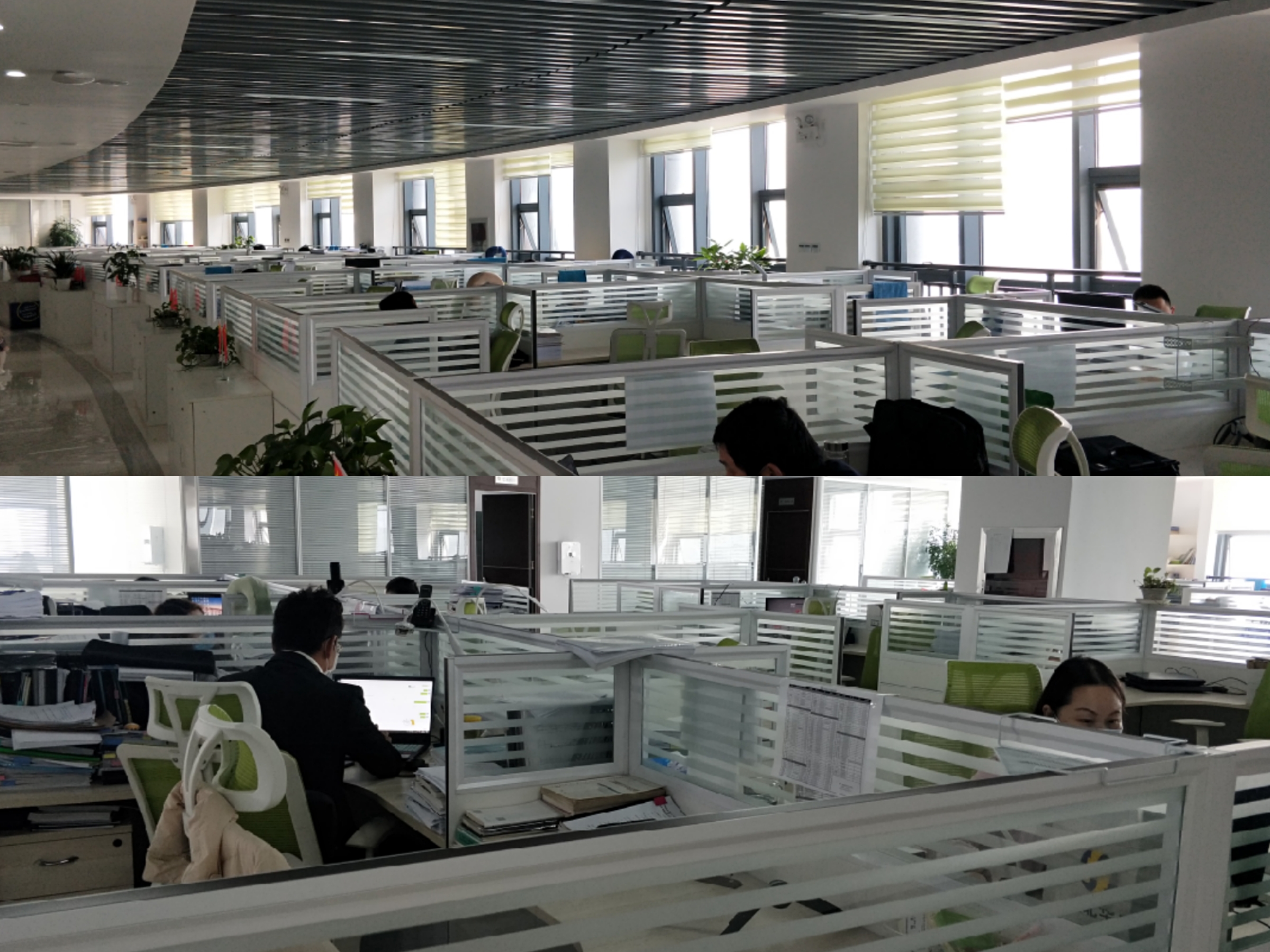 贝博betball体育app下载