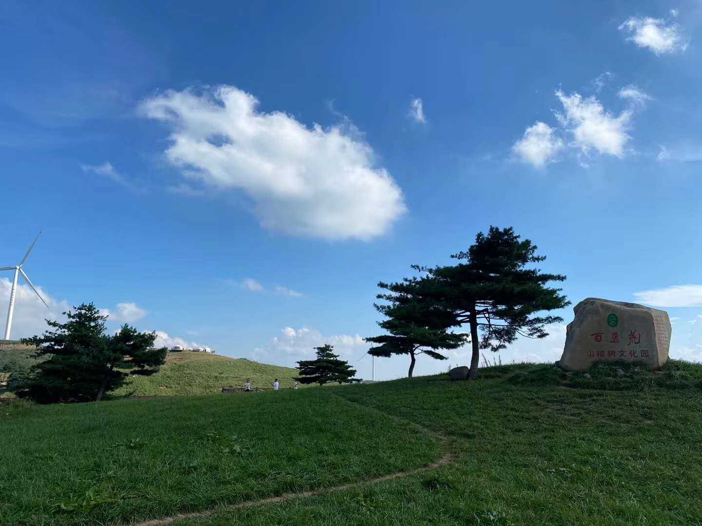 贝博betball体育app下载