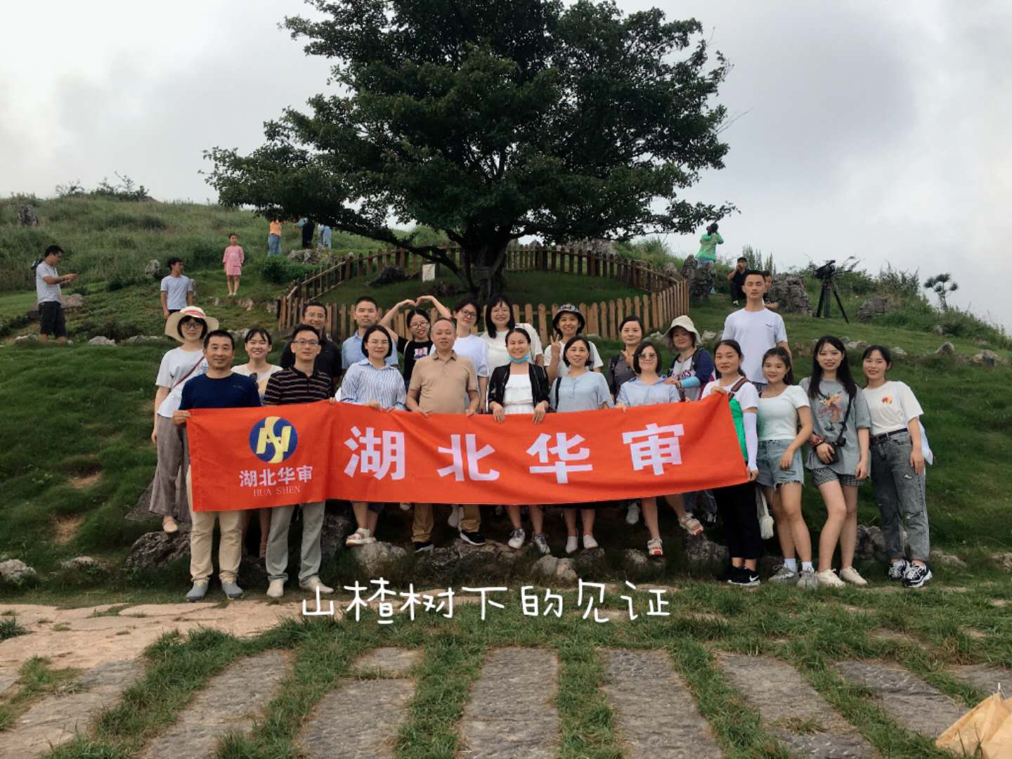 贝博betball体育app下载