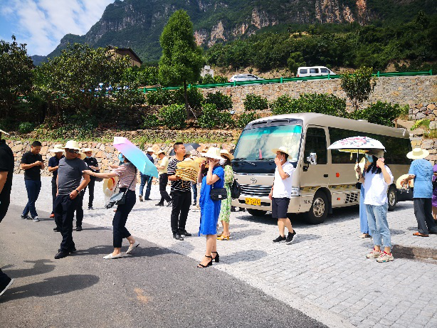 贝博betball体育app下载