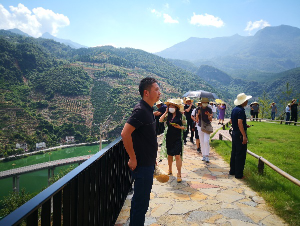 贝博betball体育app下载