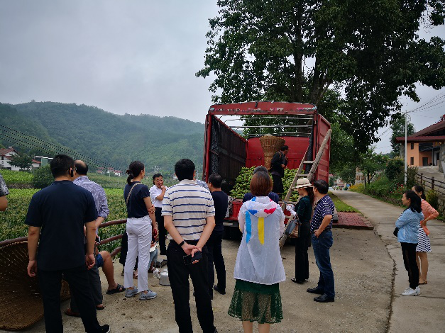 贝博betball体育app下载