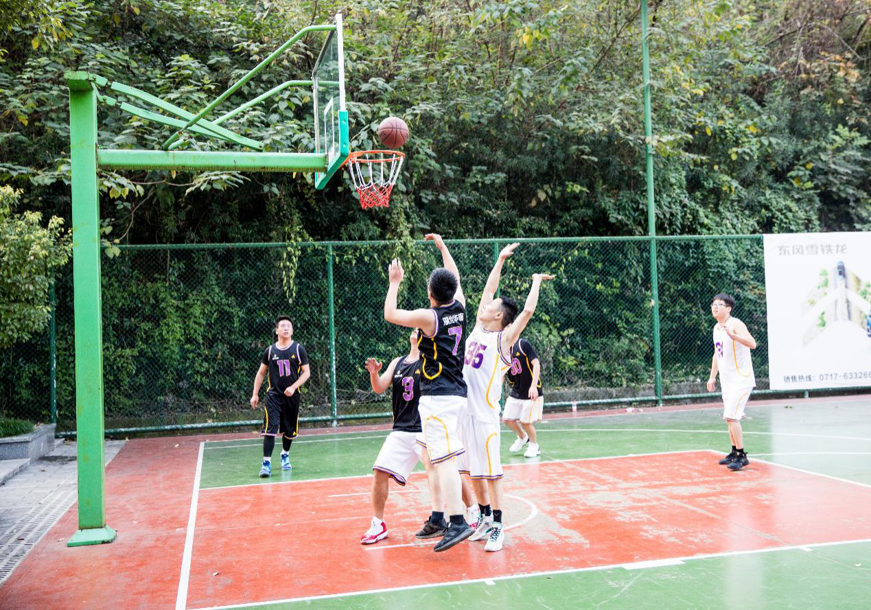 贝博betball体育app下载