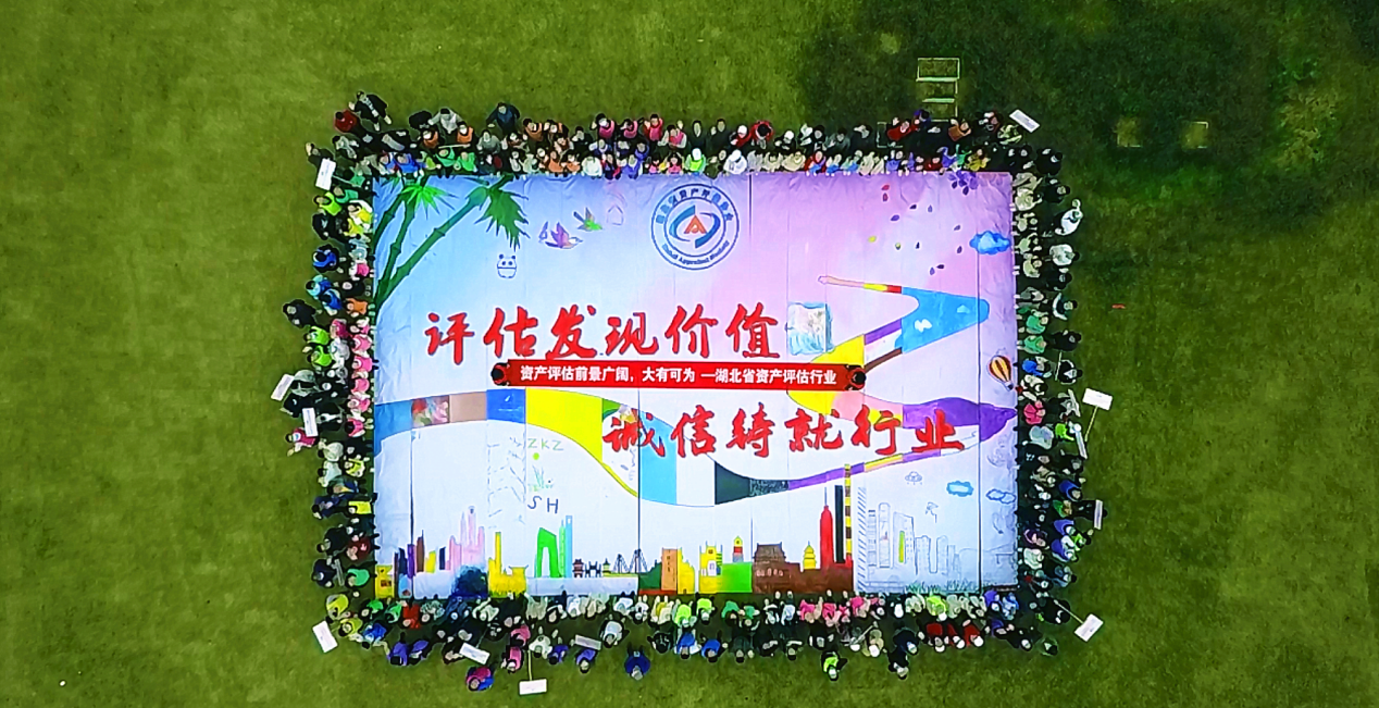 贝博betball体育app下载