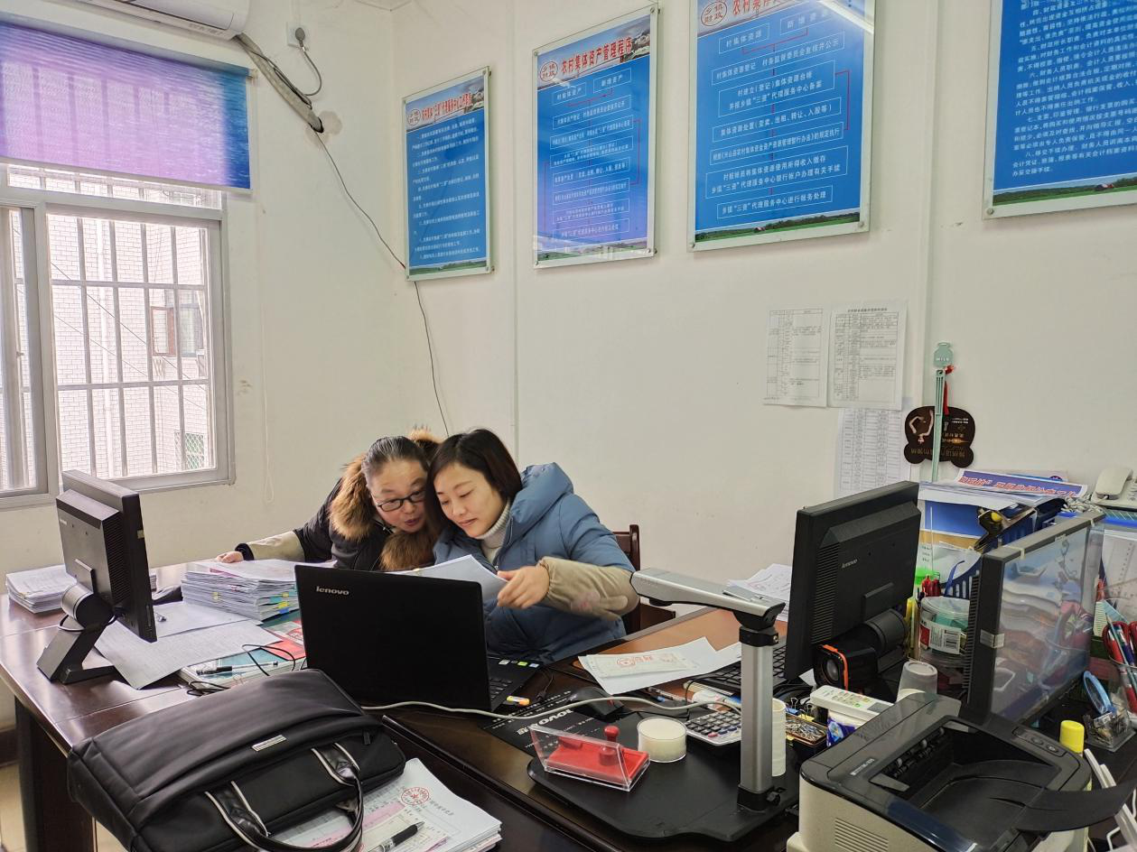 贝博betball体育app下载