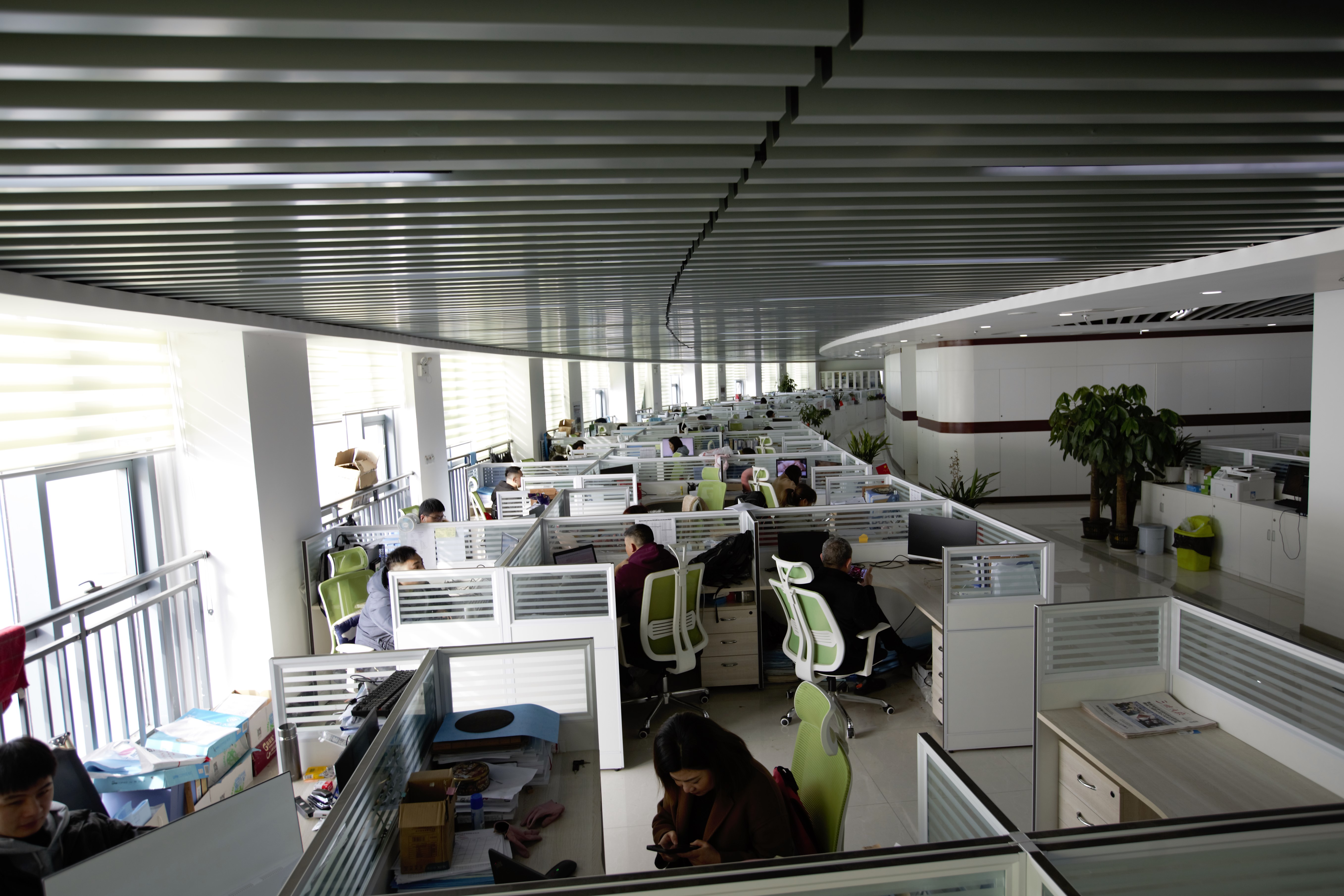 贝博betball体育app下载