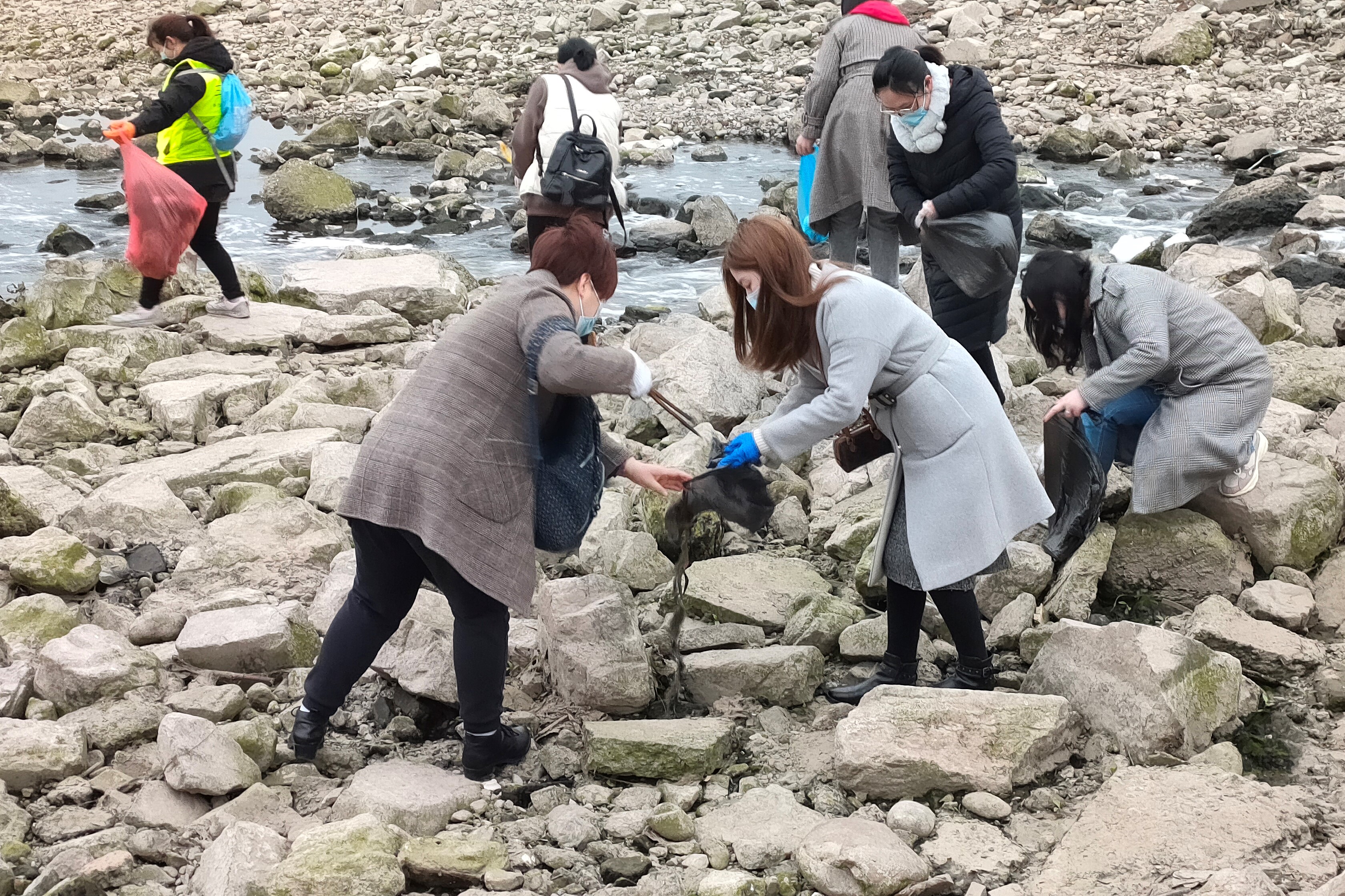 贝博betball体育app下载