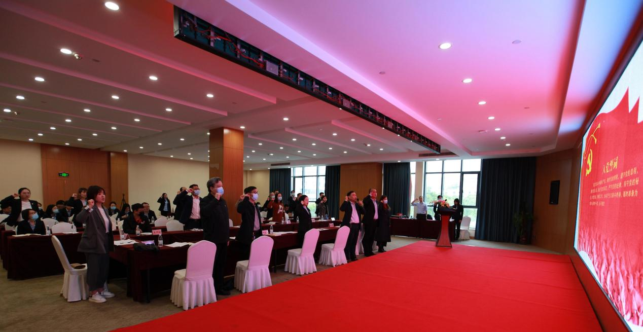 贝博betball体育app下载