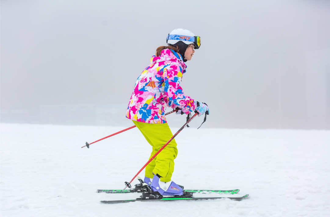 贝博betball体育app下载