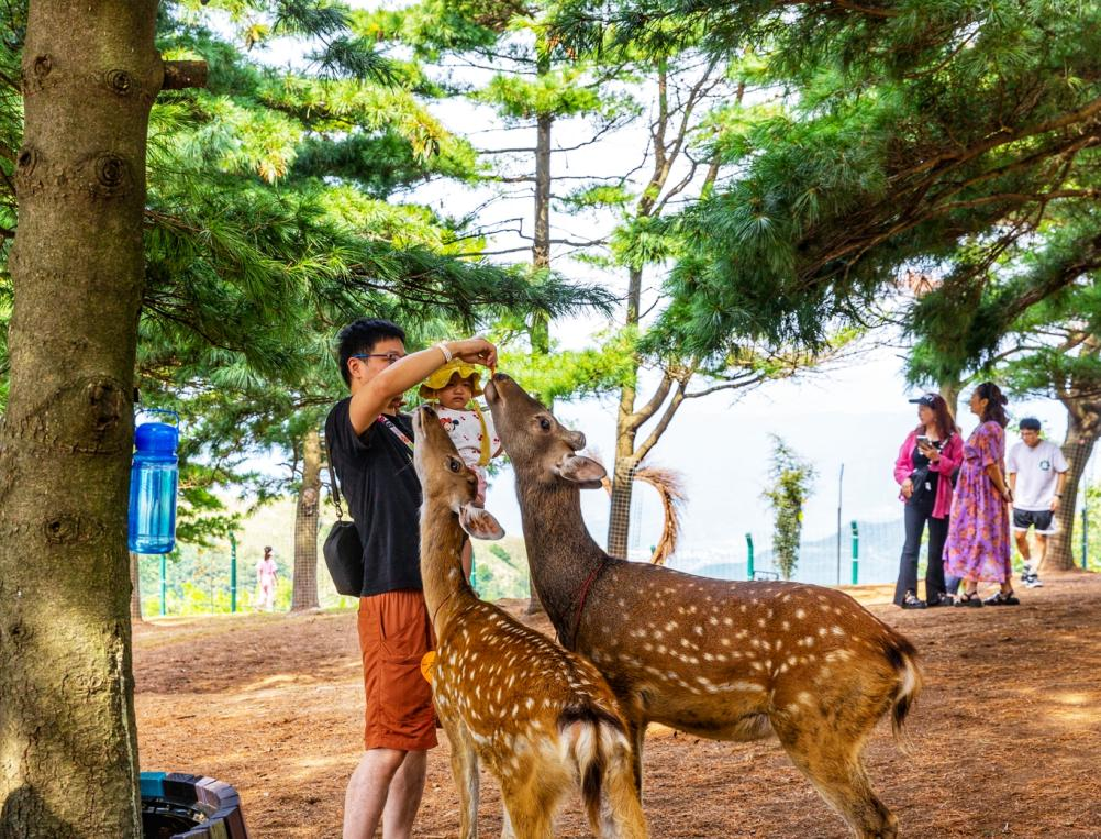 贝博betball体育app下载