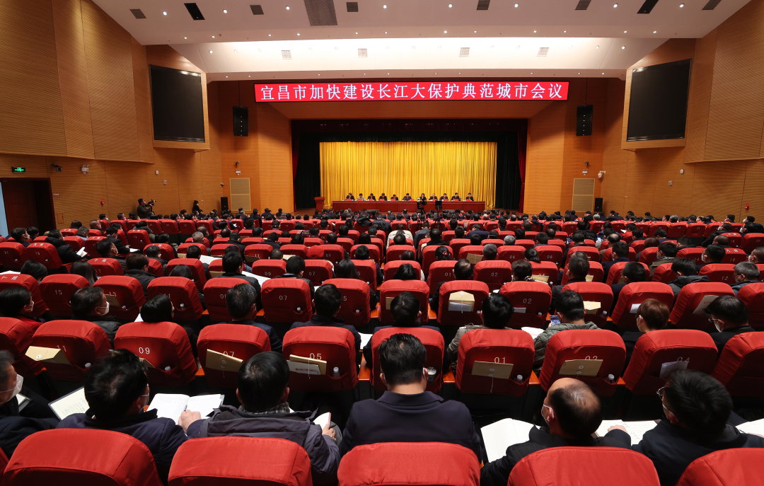 贝博betball体育app下载