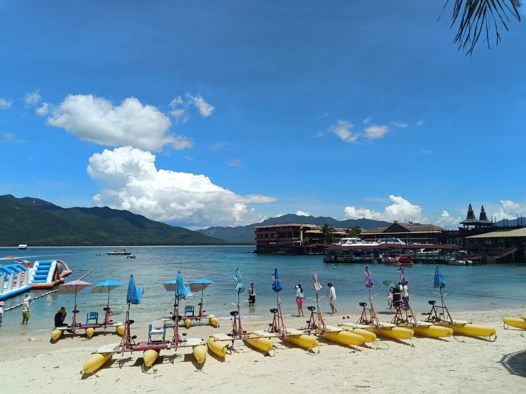 贝博betball体育app下载