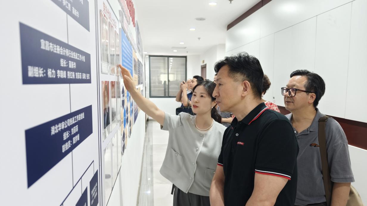 贝博betball体育app下载