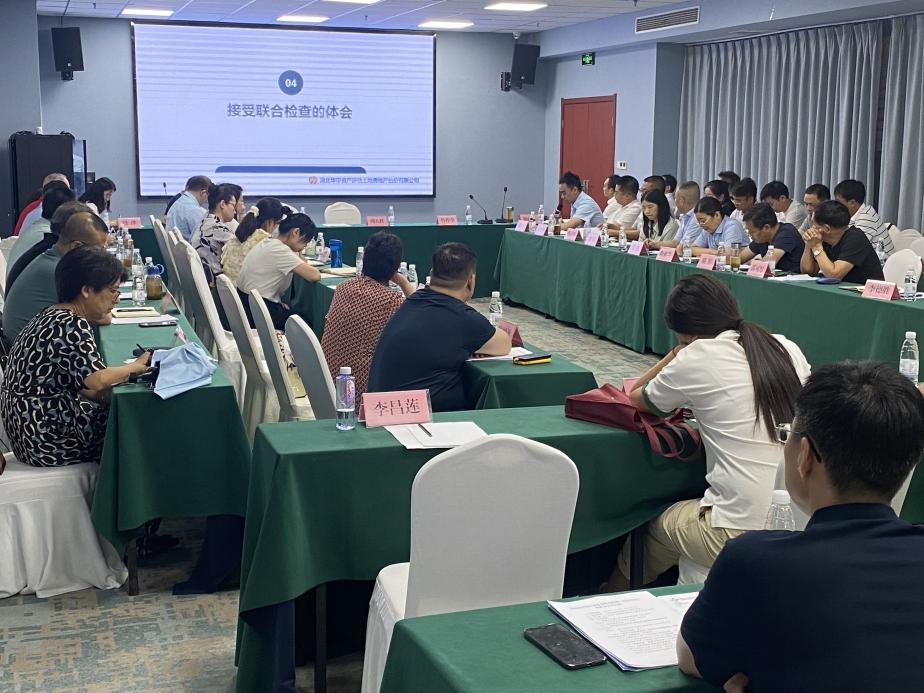 贝博betball体育app下载