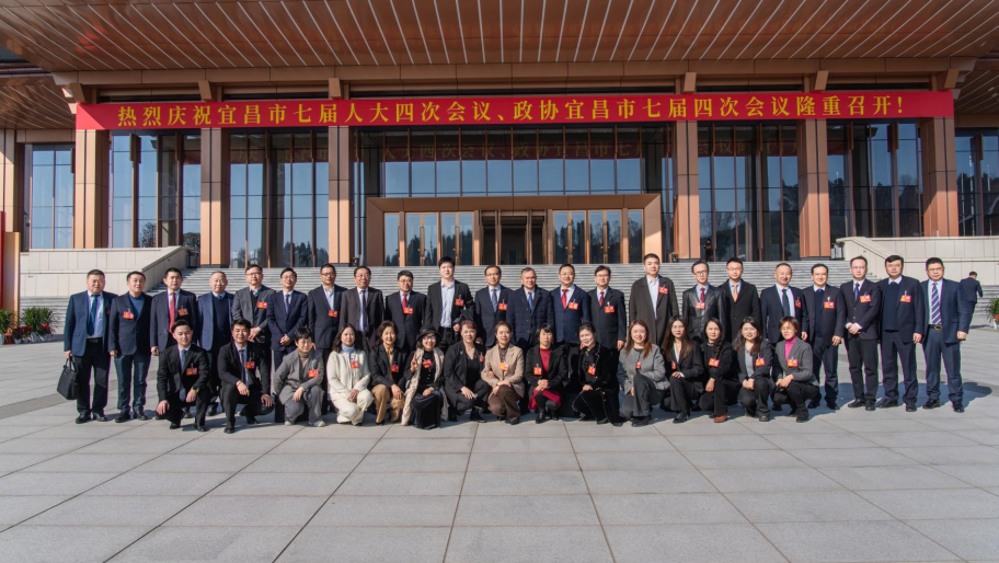 贝博betball体育app下载